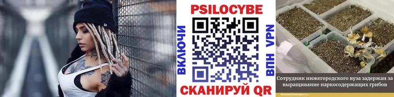 Галлюциногенные грибы прущие грибы  mega ССЫЛКА  Медвежьегорск 